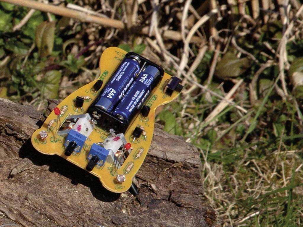 Een kleine robot met batterijen op een printplaat is geplaatst op een stuk hout in een met gras begroeid gebied.