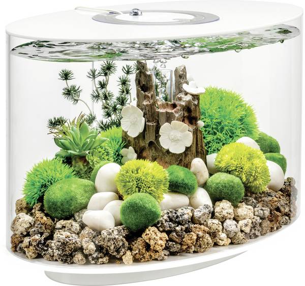OASE biOrb 86414 biOrb LOOP 15 LED weiß Aquarium Energielabel: G (A - G)  15 l Met LED-verlichting
