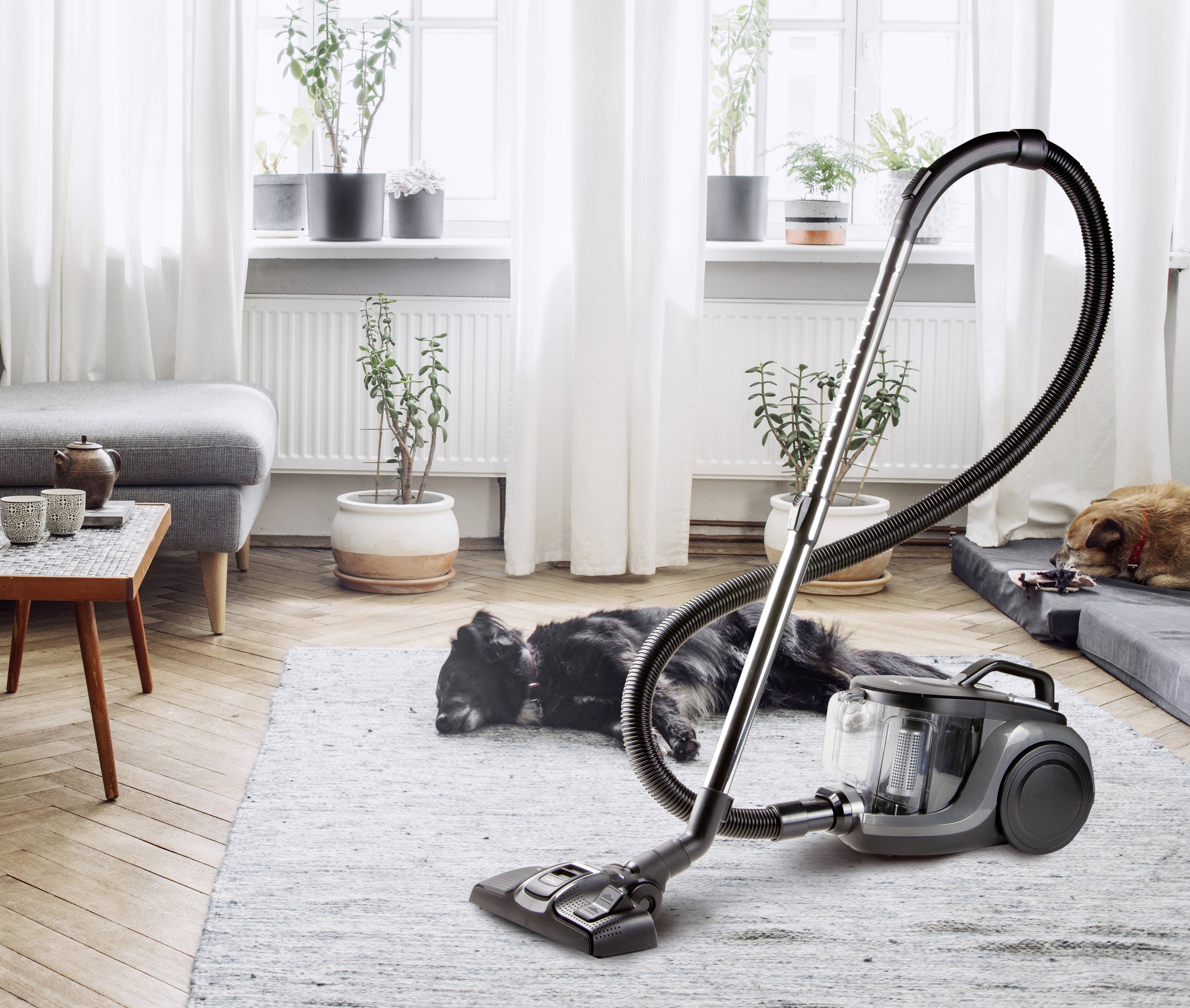 Een stofzuiger staat op een tapijt in een woonkamer. Een zwarte hond ligt ontspannen op de vloer. Op de achtergrond zijn planten en meubels te zien.