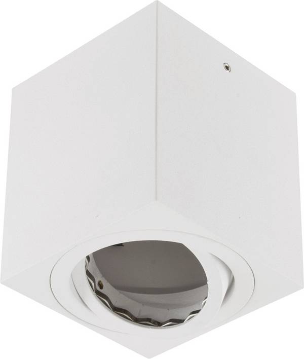 EVN 8149001 8149001 Plafondlamp  GU10   Wit