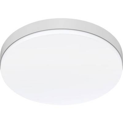 Rond wit plafondlichtarmatuur met een grijze rand, getoond tegen een eenvoudige achtergrond.