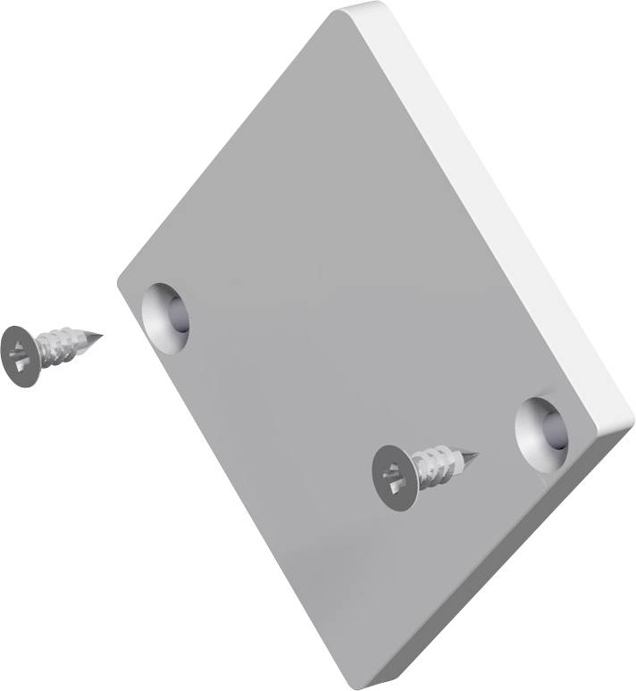 Illustratie van een rechthoekige montageplaatje met twee verzonken gaten en twee schroeven ernaast afgebeeld, wat aangeeft hoe het wordt samengesteld of bevestigd.