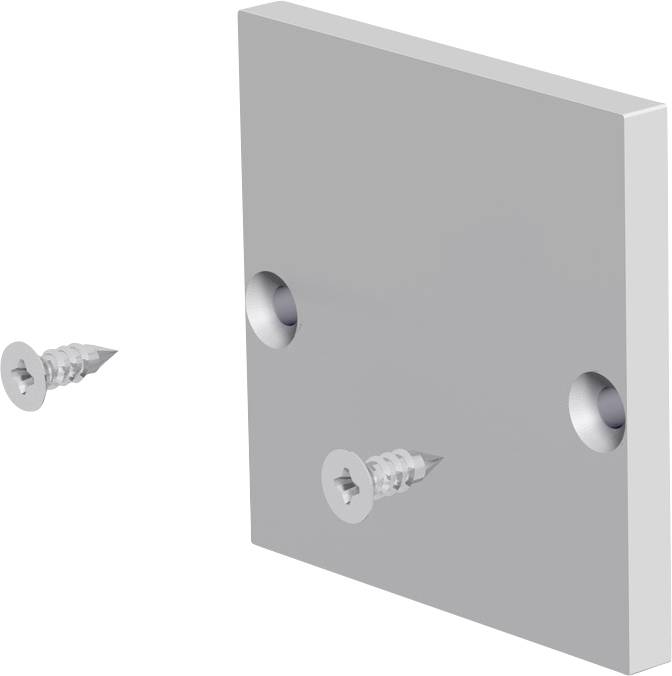 Grijze metalen plaat met twee verzakte gaten en twee schroeven afzonderlijk weergegeven, ter illustratie van montagehardware en plaatsing.