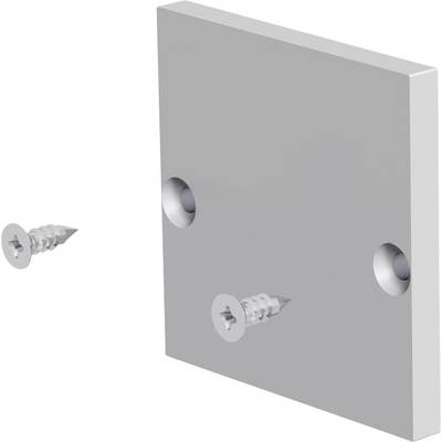 Grijze metalen plaat met twee verzakte gaten en twee schroeven afzonderlijk weergegeven, ter illustratie van montagehardware en plaatsing.
