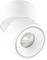 Witte, cilindrische plafondlamp met verstelbare spot, geschikt voor gerichte verlichting.