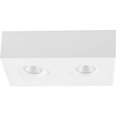 Wit plafond inbouw lichtarmatuur met twee ronde LED downlights in een rechthoekig paneel