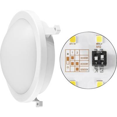 Wit rond ingebouwd LED-inbouwspot met inzet close-up met een 2-stand schakelaar voor kleurtemperatuurinstellingen: 3000K, 4000K en 6500K.