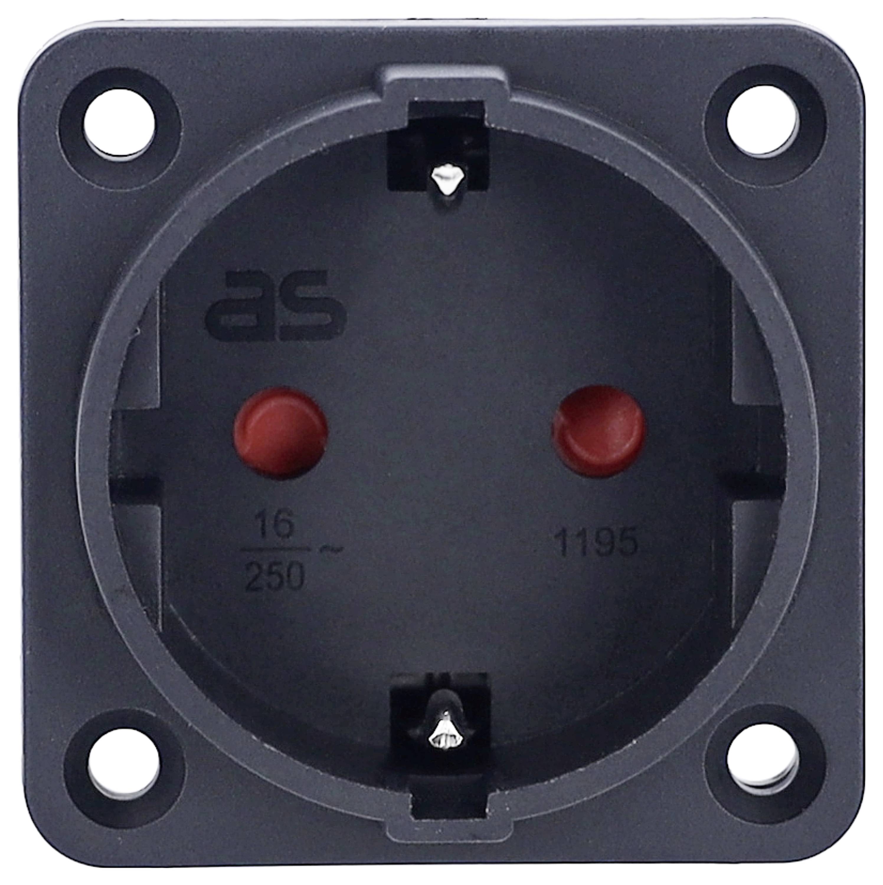 Een zwart stopcontact met twee rode gaten, vier bevestigingspunten en het opschrift 'AS' toont een spanningsaanduiding van 250 volt.