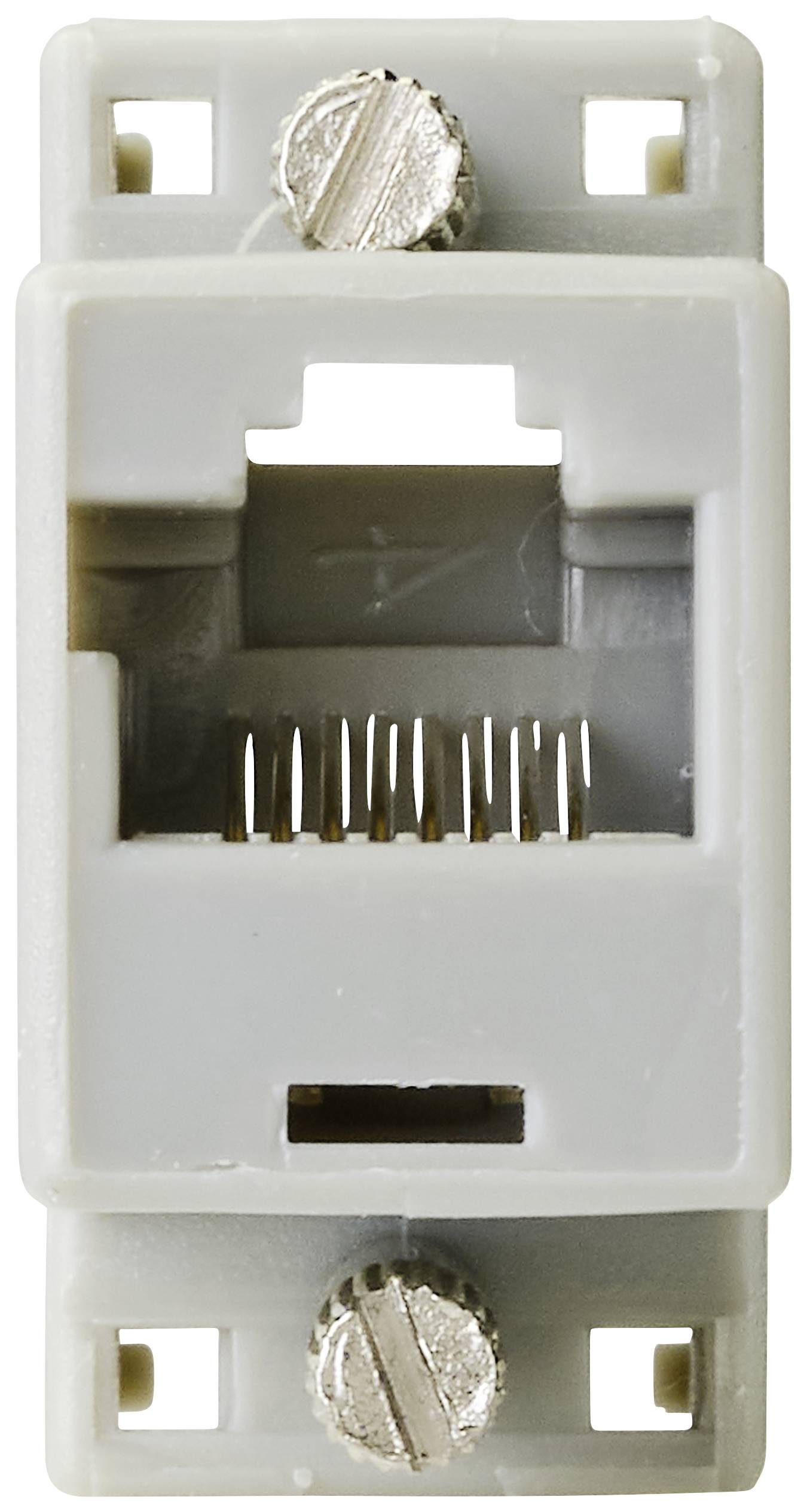 Een grijs RJ45-netwerkpoortmodule met twee schroeven voor bevestiging.