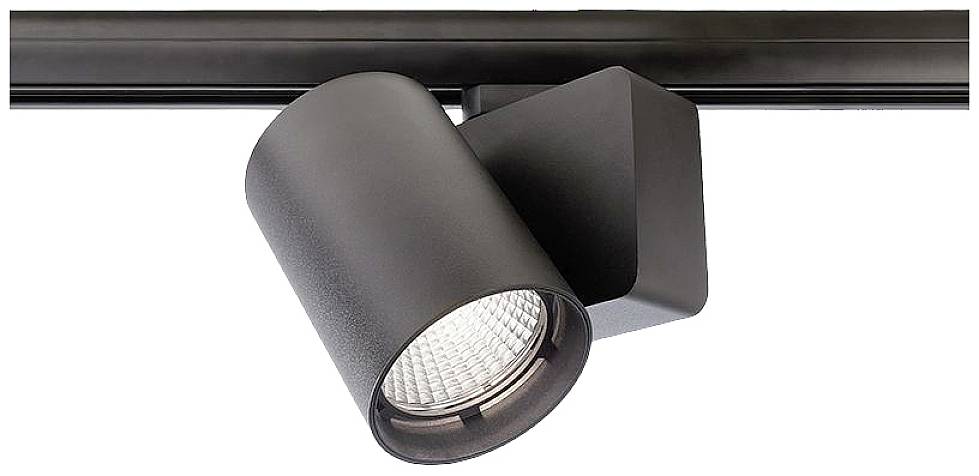 Een zwarte plafondspot is bevestigd in een houdersysteem. De lamp is cilindrisch en naar beneden gericht.