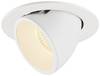 SLV 1005988 NUMINOS GIMBLE L LED-inbouwlamp LED vast ingebouwd Wit