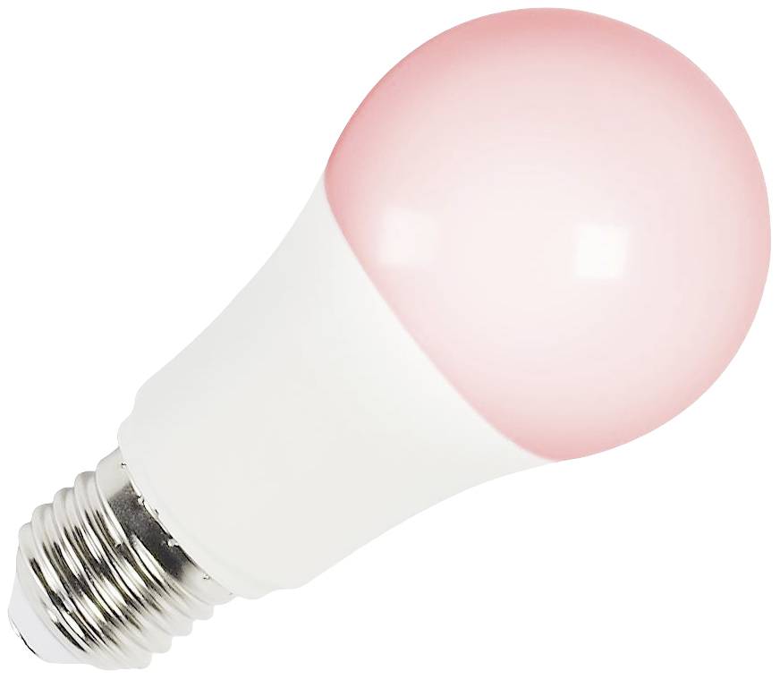 Een gloeilamp met roze lichtgevende kleur, die op een witte achtergrond ligt.