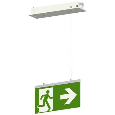 Een groen nooduitgangsbord met een witte pijl naar rechts en een lopende persoon, hangt van het plafond.