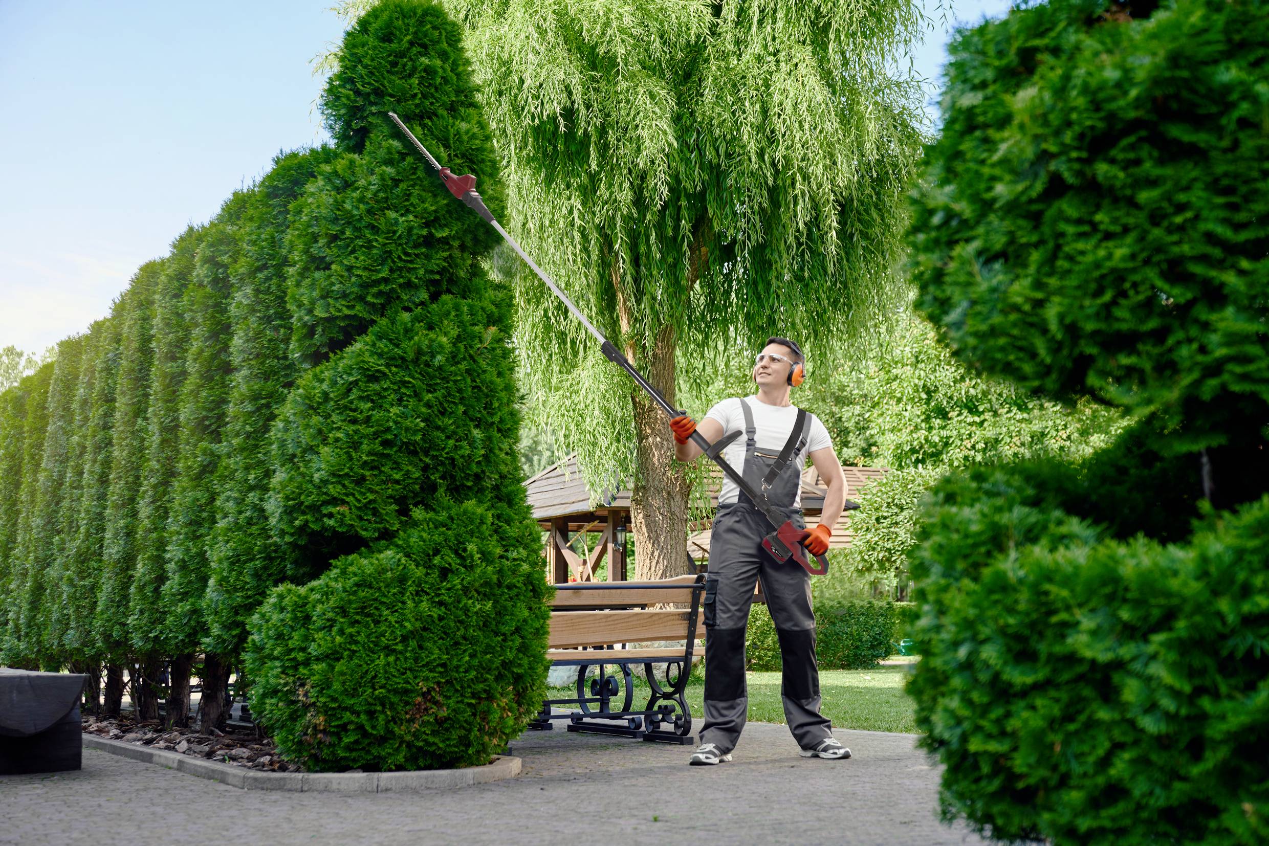 Een man in werkkleding knipt een hoge haag in een tuin met een elektrische heggenschaar.