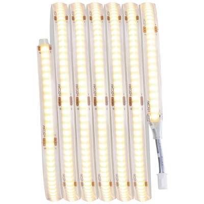 Flexibele, lichtemitterende LED-strip in warm wit, meerdere malen parallel gelegd. Geschikt voor decoratieve verlichting.