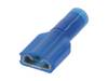 Molex 190020024 Platte stekker (female) 1 stuk(s)