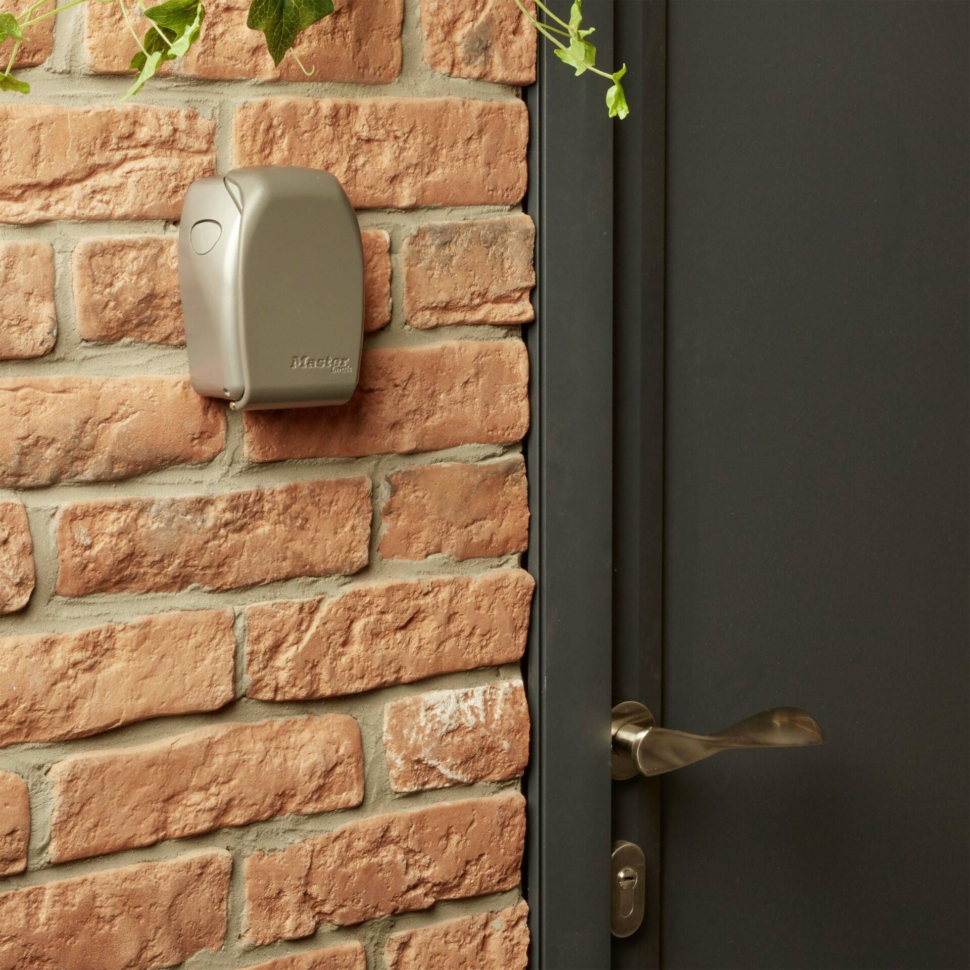 Een grijze brievenbus hangt aan een rode bakstenen muur naast een deur. Een klimoprank groeit van bovenaf naar beneden.