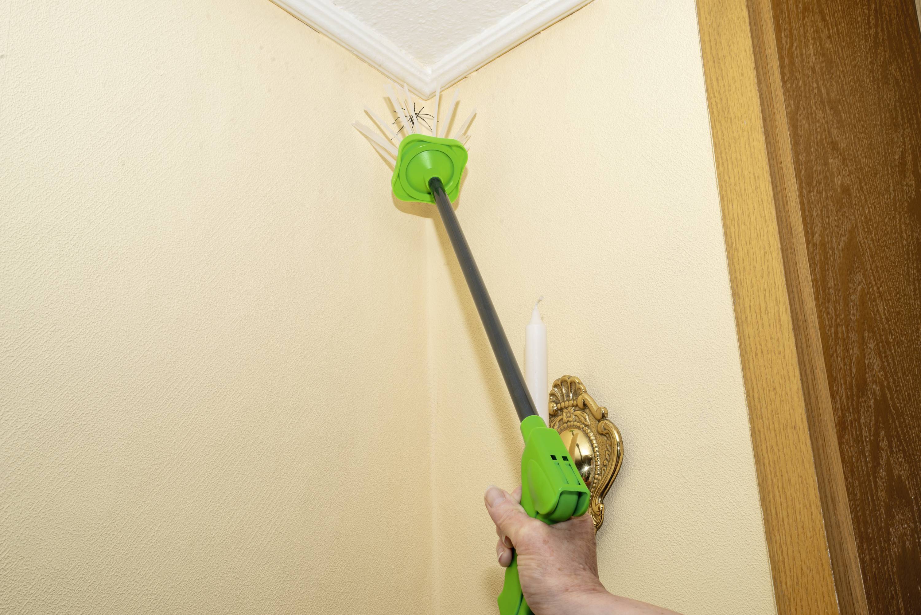 Een persoon gebruikt een groen spinnenvangapparaat om een spin in een hoek van de kamer te vangen.