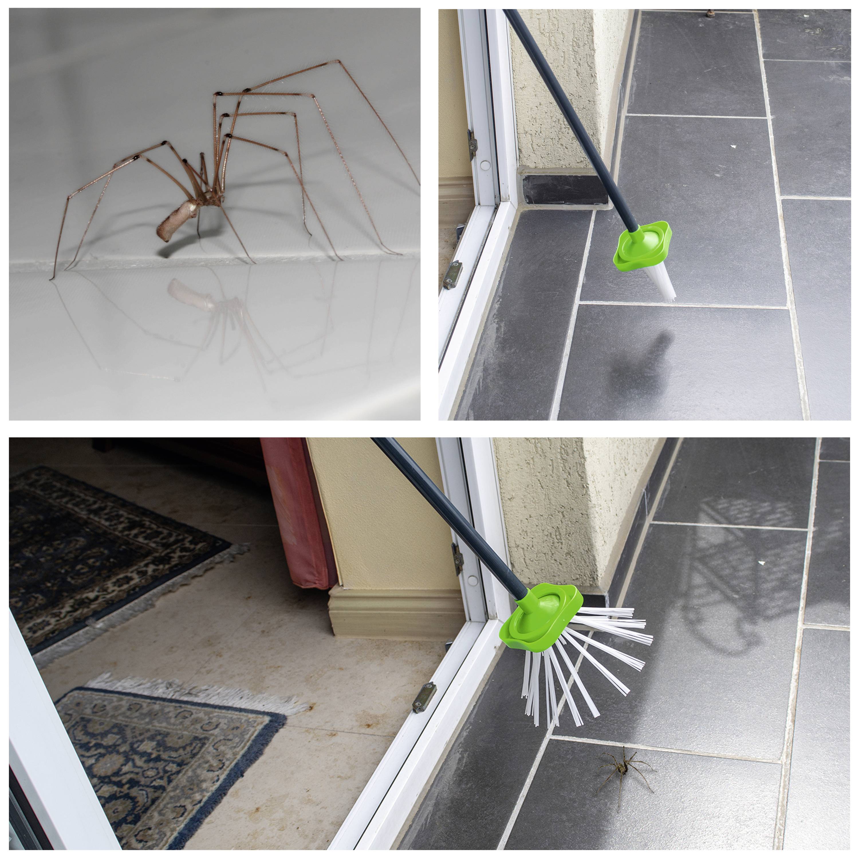 De beeldcollage toont een lange, dunne insectenhaak. Boven: een spin. Onder: de haak wordt gebruikt om de spin te verwijderen.