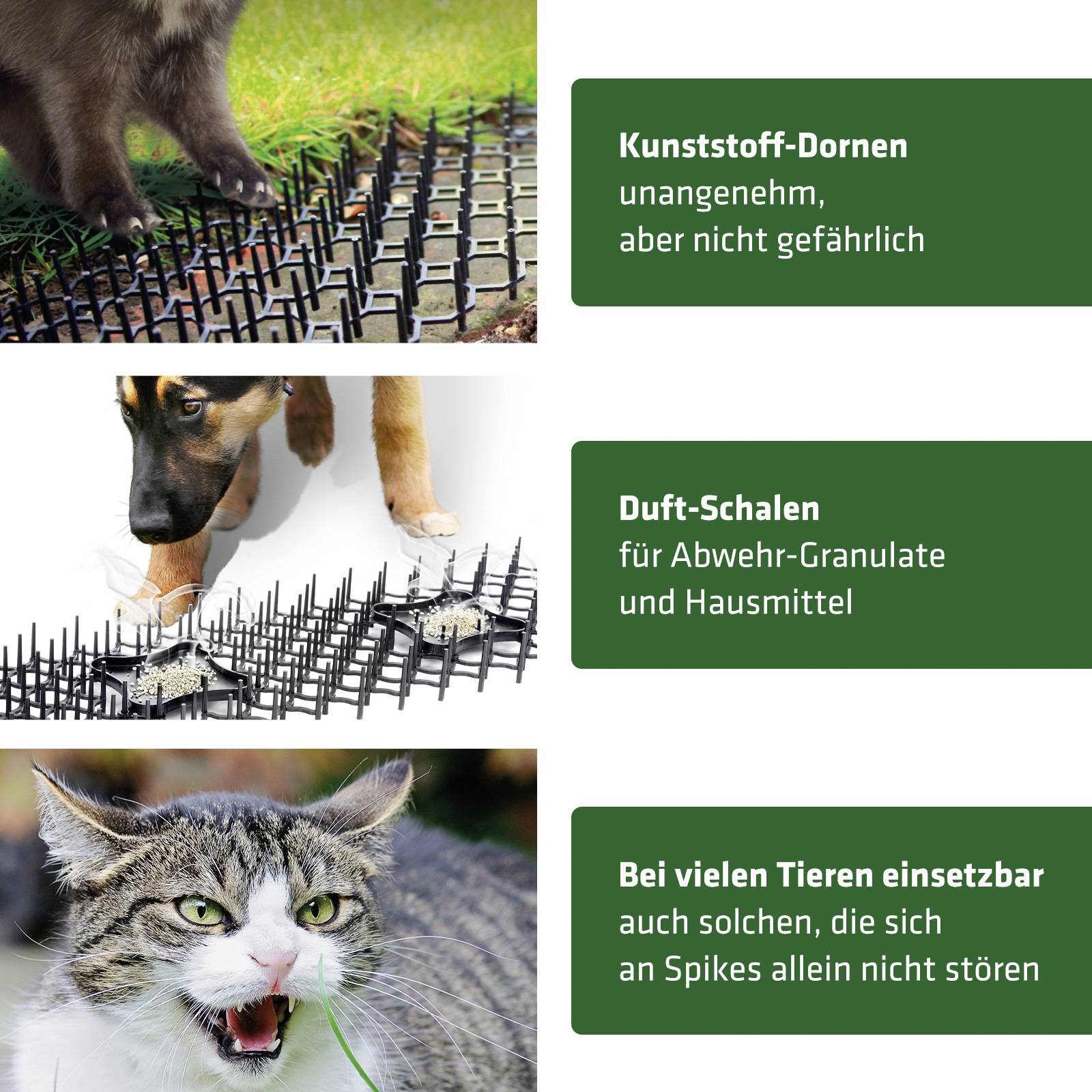 Een kat loopt over kunststof doornmatten 'Geur-Schalen'. Tekst ernaast: 'Bruikbaar voor veel dieren, zelfs als deze zich er niet aan storen'.