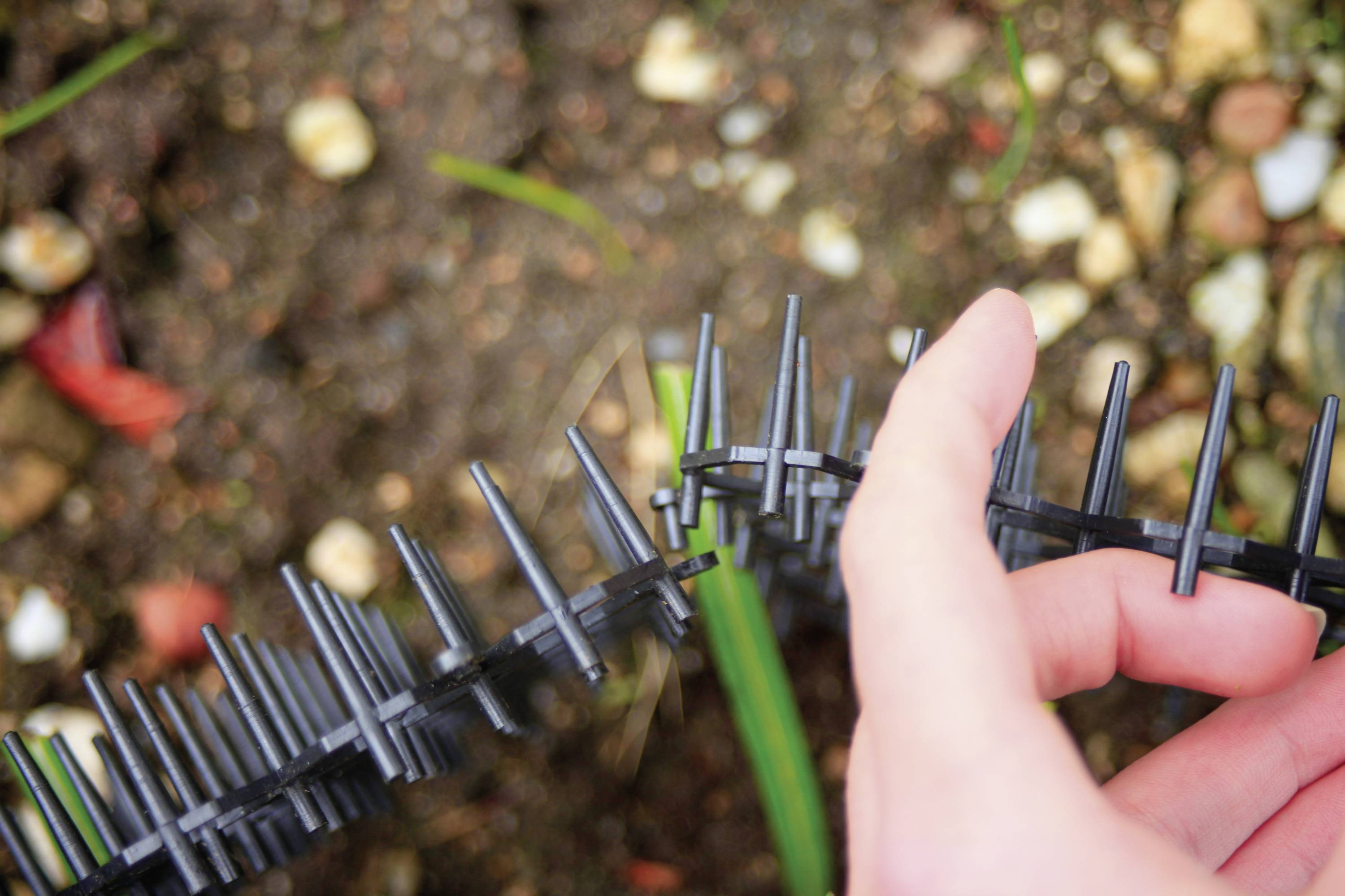 Hand houdt een zwarte kunststof strip met stekels vast boven een aarden achtergrond. Zou kunnen dienen als afschrikmiddel voor dieren in de tuin.