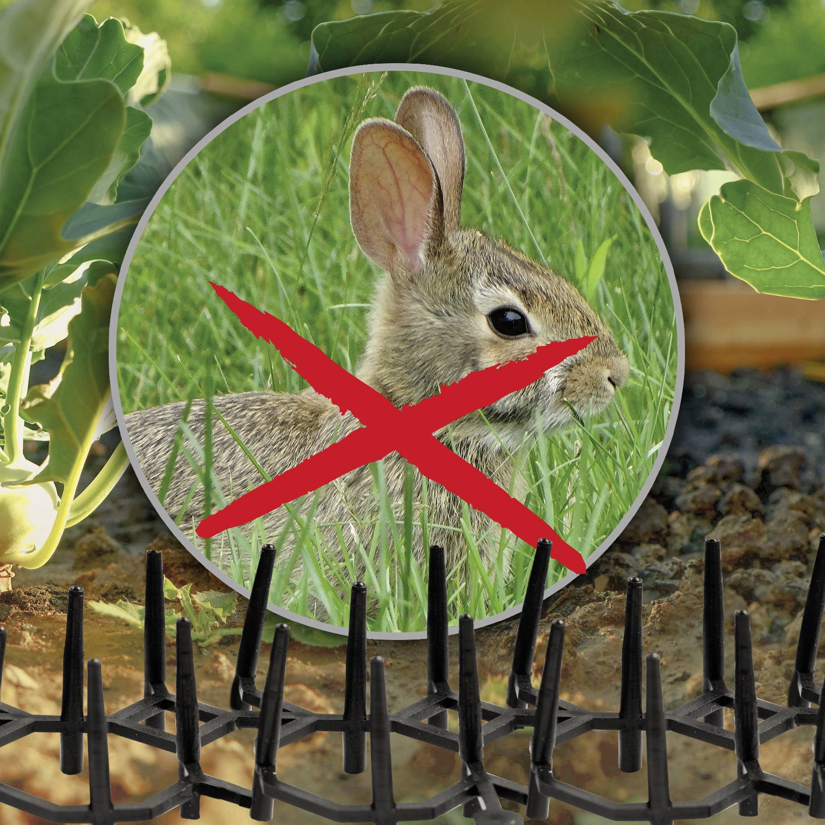 Een konijn met een rode X erboven in een tuin; op de voorgrond een hek ter bescherming van de planten tegen dieren.