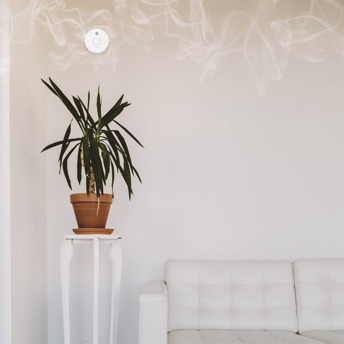 Potplant op een hoge witte tafel naast een witte bank. Wanddecoratie met onzichtbare rookwervels bovenaan de muur.