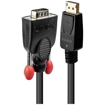 VGA-naar-DisplayPort-adapterkabel met twee stekertypes: VGA-stekker links, DisplayPort-stekker rechts. Merknaam 'Lindy' op de VGA-stekker.