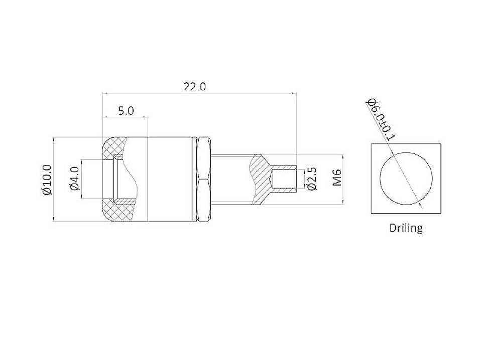 Technische tekening van een onderdeel met afmetingen: totale lengte 22 mm, diameter 10 mm. Zijaanzicht en bovenaanzicht met M6-schroefdraad.