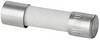 Weidmüller 2780750000 RS-FUSE 5X20 8A250V F Buiszekering (Ø x l) 5 mm x 20 mm 8 A Snel -F- Inhoud 10 stuk(s) Piece