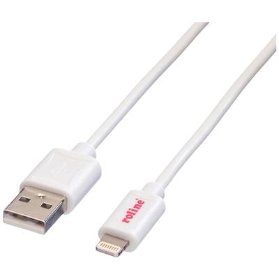 Een wit USB-kabel met een USB-A-stekker aan de linkerkant en een Lightning-stekker aan de rechterkant.