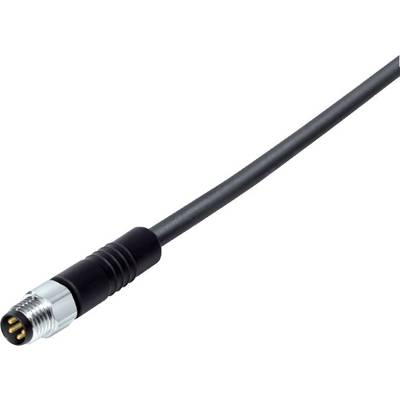 Zwart verbindingskabel met een metalen stekker aan het uiteinde. Geschikt voor elektronische apparaten.