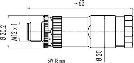 Technische tekening van een cilindrisch onderdeel met M12 x 1 schroefdraad; diameter 20,2 mm; lengte ca. 63 mm; sleutelwijdte 18 mm.