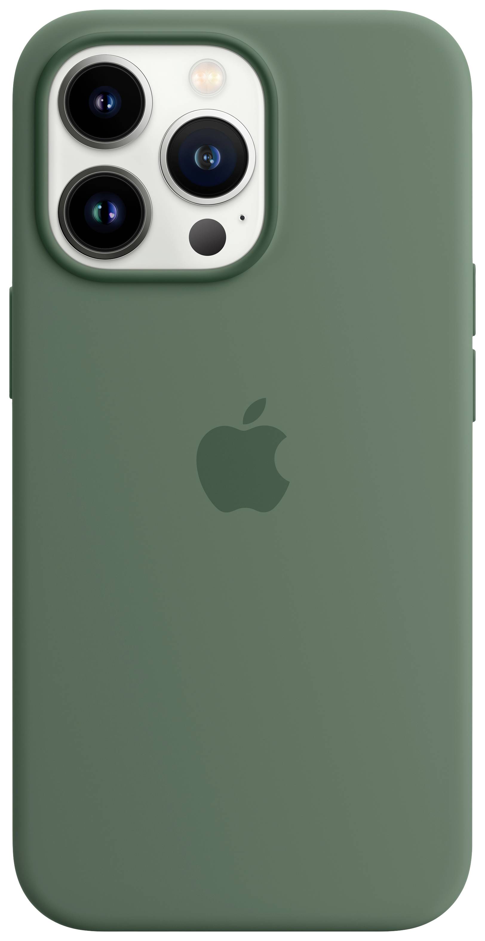 Siliconenhoesje met MagSafe voor iPhone 13 Pro - Eucalyptus