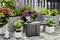 Een automatisch irrigatiesysteem op een terras, omgeven door bloeiende planten in moderne bloempotten.