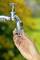 Een hand houdt een beregeningsadapter vast onder een glanzende waterkraan, met een wazig groene achtergrond met gele bloemen.