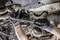 'Monteur draait schroef aan op autochassis, close-up. Gereedschap met momentsleutel, werkhandschoenen, metaalstructuur zichtbaar.'