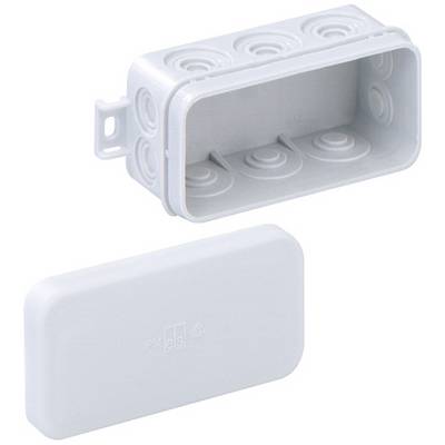 Een rechthoekige, witte kunststof doos zonder deksel en zonder kabel, gebruikt voor elektrische bedrading, met meerdere ronde openingen.
