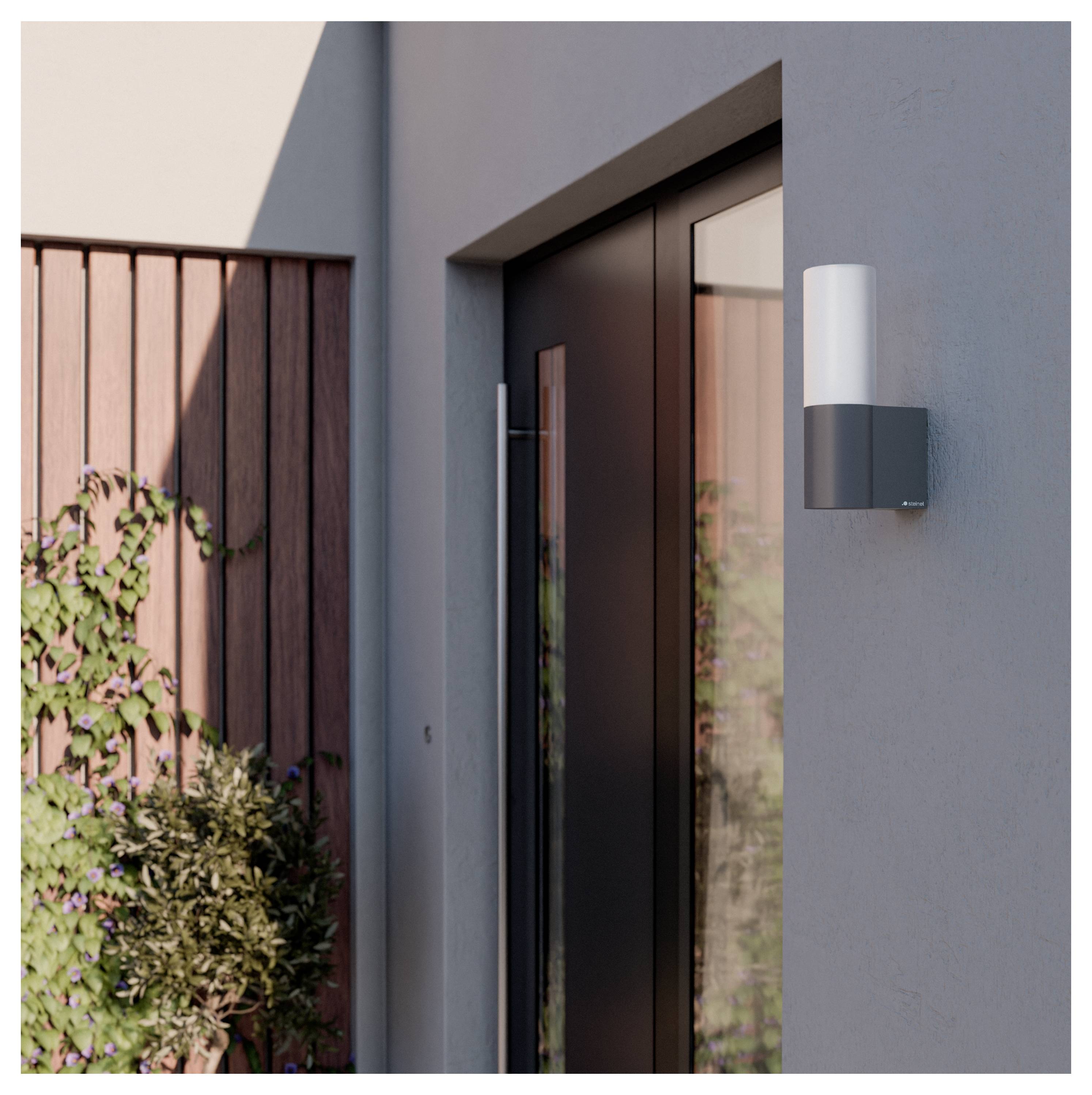 Ingang van een modern huis met een donkergerand glazen deur en een aan de muur gemonteerde buitenlamp naast een buitenmuur bedekt met houten latten en planten.
