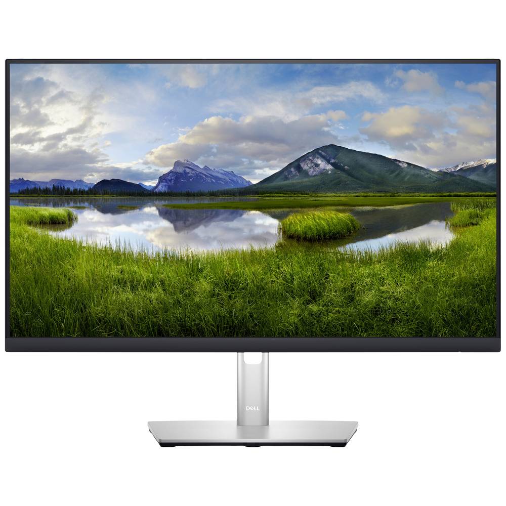 Image of Dell P2423D Professional Monitor LED ERP E (A - G) 60.5 cm (23.8 pollici) 2560 x 1440 Pixel16:95 msDisplayPort, HDMI ™, USB-A, USB-BIPS LED