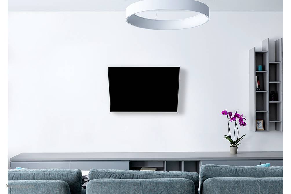 Woonkamer met een grijze bank, een flatscreen-tv aan de muur en een paarse orchidee op een plank rechts.