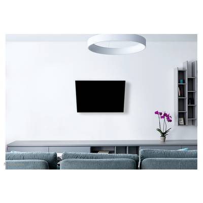 Woonkamer met een grijze bank, een flatscreen-tv aan de muur en een paarse orchidee op een plank rechts.