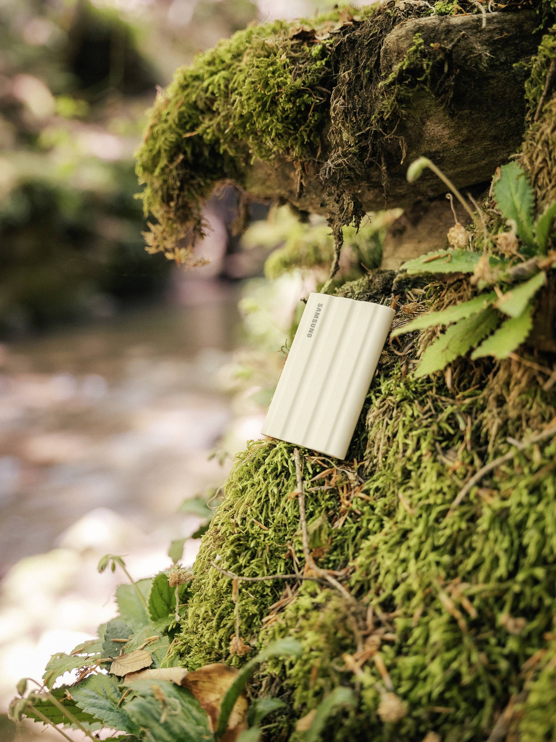 Een draagbare oplader leunt tegen een met mos bedekte boomstam in een bos, symboliseert duurzame technologie in de natuur.