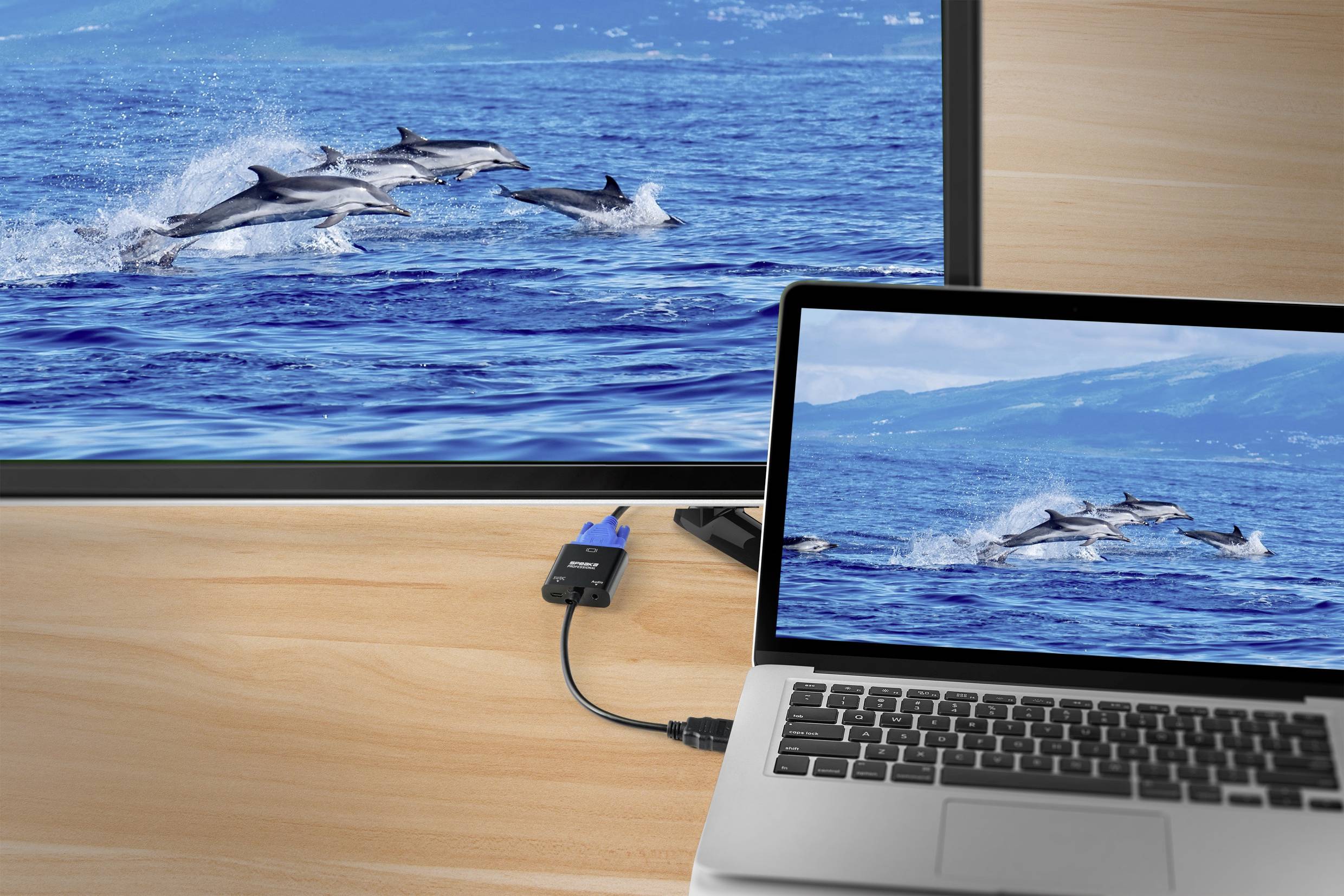 Laptopscherm toont dolfijnen in de zee; extern scherm dupliceert het beeld. Beide schermen zijn via een VGA-kabel verbonden.