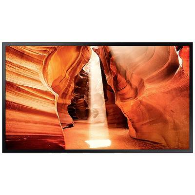 Een helder lichtstraal valt door smalle, gebogen rotsen in stralende oranje- en rode tinten in de Antelope Canyon.