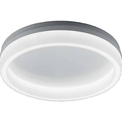 Modern, rond LED-plafondlicht met witte rand en diffuse afdekking.