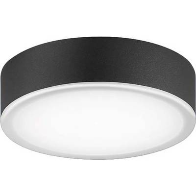 Ronde plafondlamp met zwarte rand en wit verlichtingsoppervlak. Minimalistisch design, geschikt voor moderne interieurs.