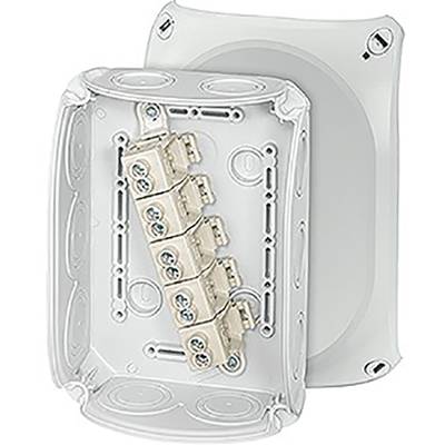 Elektronickasten met vijf gemonteerde klemmen, symmetrisch geplaatst op een beugel, bestemd voor elektrische bedrading.