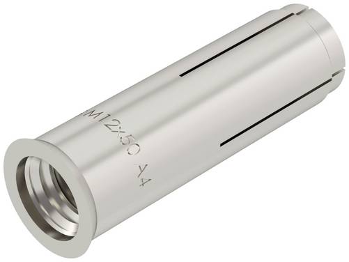 OBO Bettermann 3492012 ES M 12x50 A4 Inslaganker 50 mm  50 stuk(s)