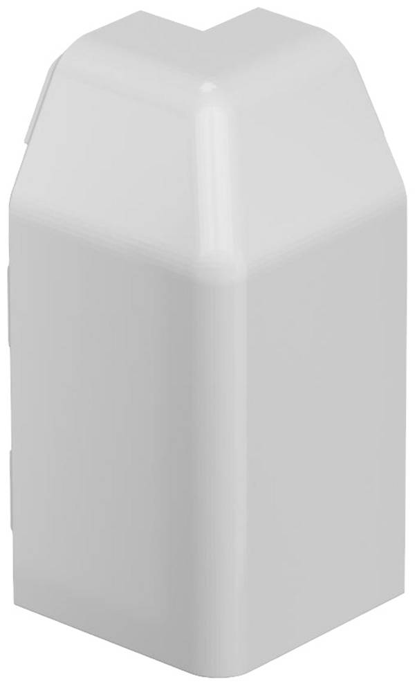 OBO Bettermann SL AE2070 lgr  voor Buitenhoek  Grijs 10 stuk(s)